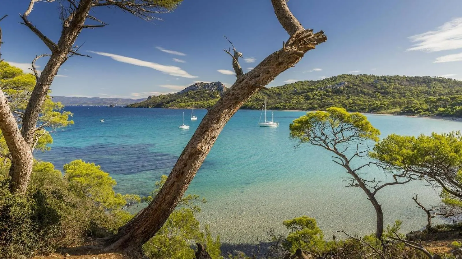 Calme Et Confort En Rez-De-Jardin La Londe-les-Maures France